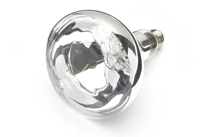 90242513 250w Infra Red Heat Lamp Clear Finish - Light Bulbs 2 U